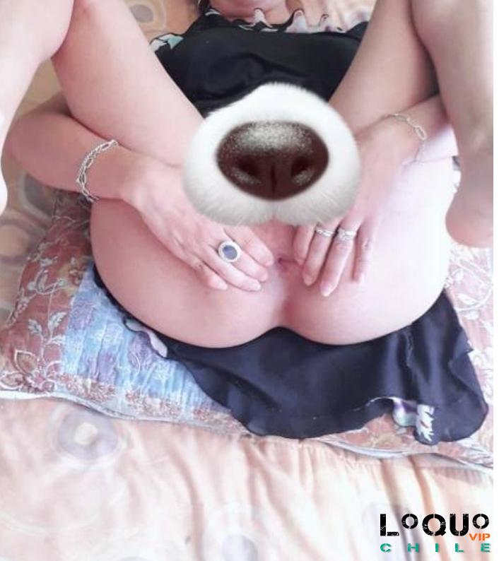 Trans y Travestis Santiago de Chile: Trans maraca potra degenerada adicta al sexo