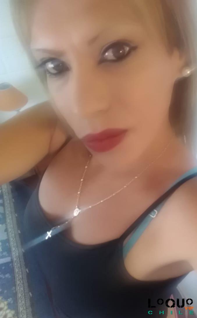 Trans y Travestis Malleco: Cata teabs ardiente morbisa potra caliente damelo todo